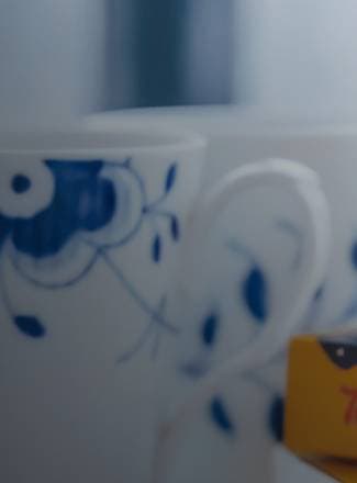 Discover the collection