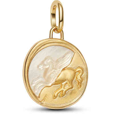 Medallion Pandora Pegaso "Ex Animo" Medallion Pandora Pegaso "Ex Animo"