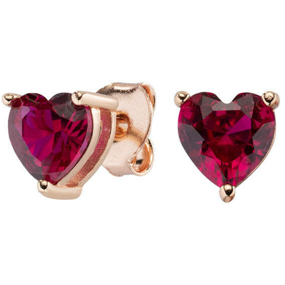 Orecchini da Donna in Argento con Zirconi Amen